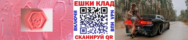 Ecstasy бентли  Тосно 