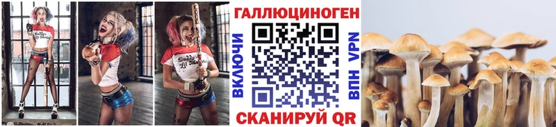 закладка  Тосно  Псилоцибиновые грибы мухоморы 